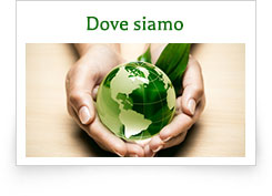 Dove siamo