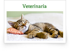 Veterinaria